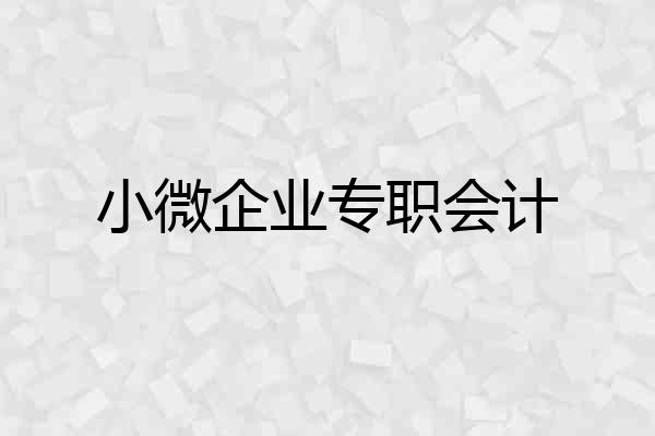 小微企业专职会计