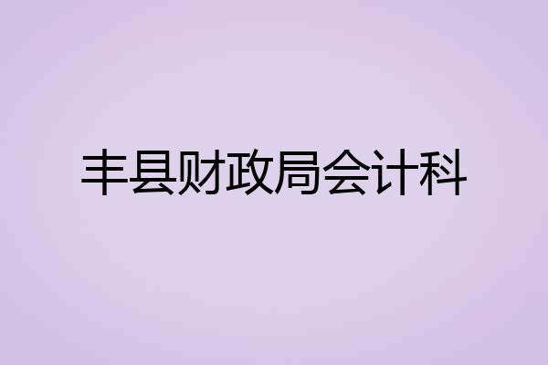 丰县财政局会计科