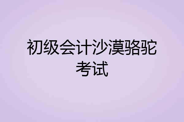 初级会计沙漠骆驼考试