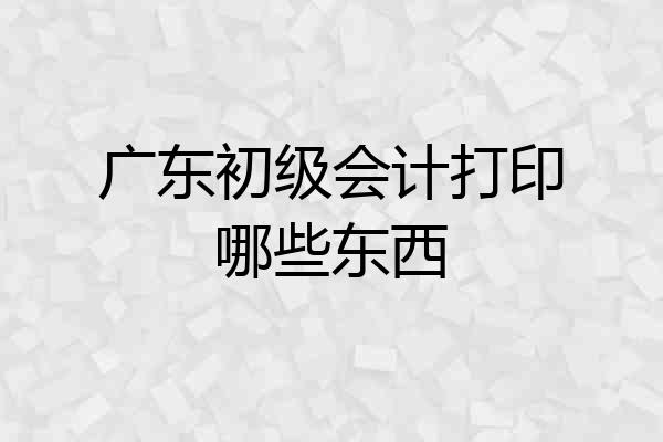 广东初级会计打印哪些东西