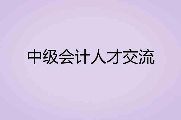 中级会计人才交流