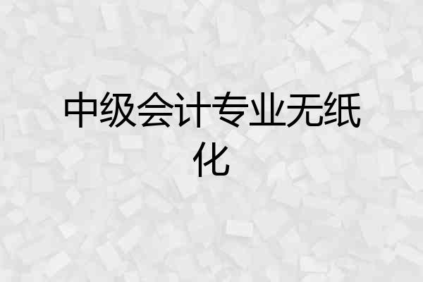中级会计专业无纸化