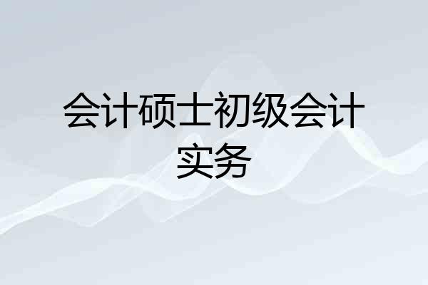 会计硕士初级会计实务