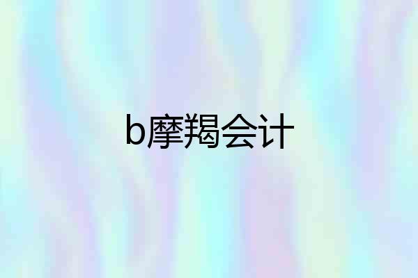 b摩羯会计