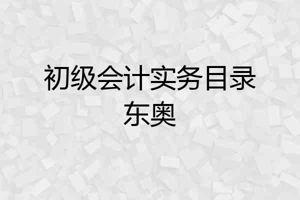初级会计实务目录东奥