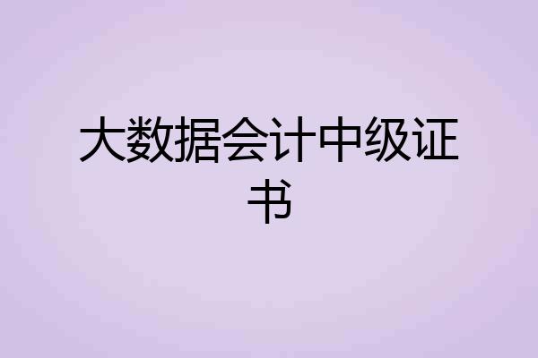 大数据会计中级证书