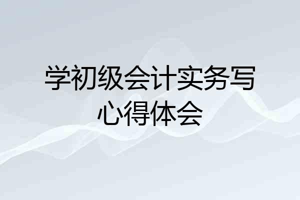 学初级会计实务写心得体会