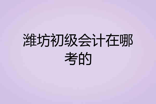 潍坊初级会计在哪考的