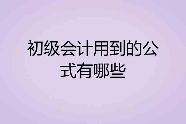 初级会计用到的公式有哪些