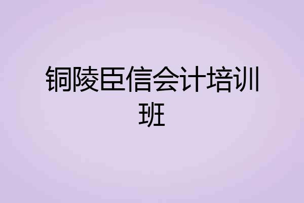 铜陵臣信会计培训班