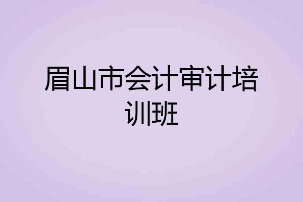 眉山市会计审计培训班