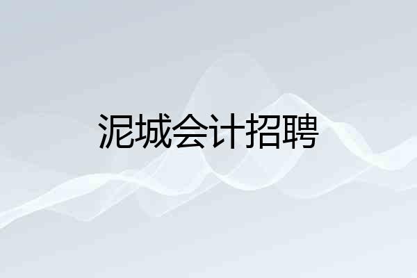 泥城会计招聘