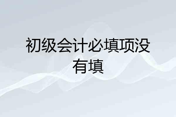 初级会计必填项没有填