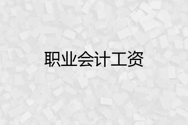 职业会计工资