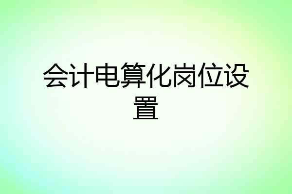 会计电算化岗位设置