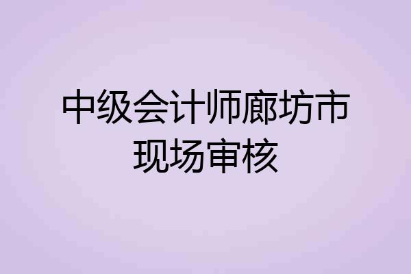中级会计师廊坊市现场审核