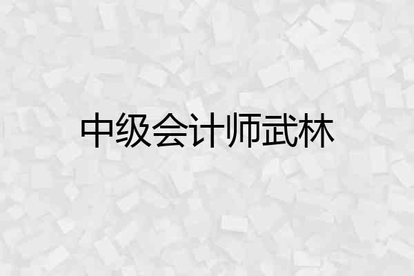 中级会计师武林