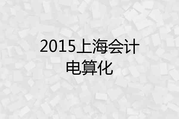 2015上海会计电算化