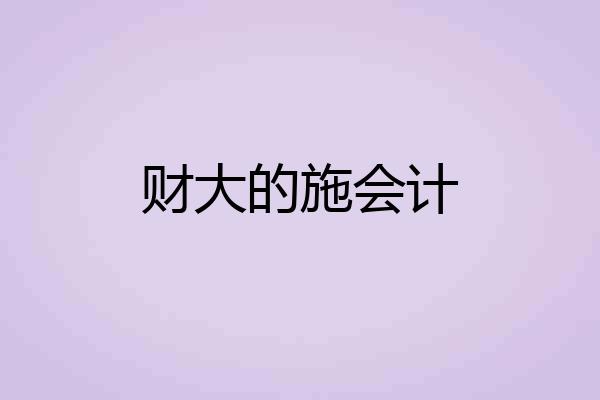 财大的施会计