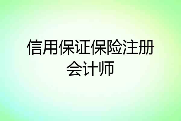 信用保证保险注册会计师