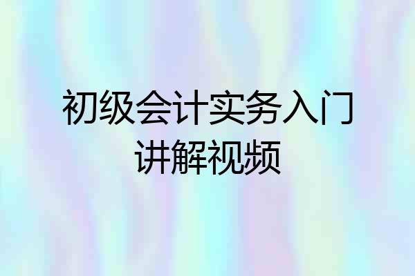 初级会计实务入门讲解视频