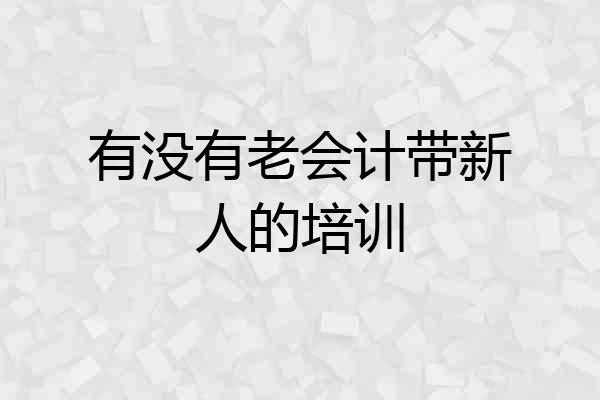 有没有老会计带新人的培训