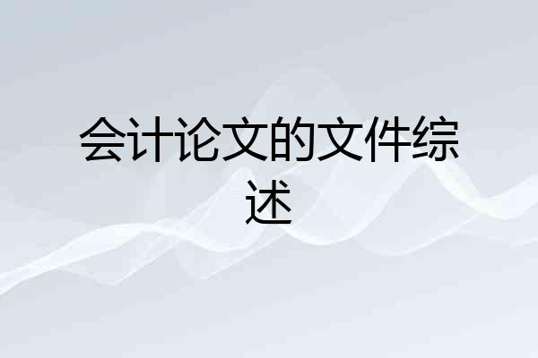 会计论文的文件综述