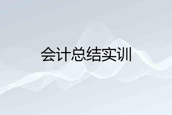 会计总结实训