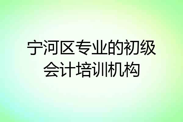 宁河区专业的初级会计培训机构