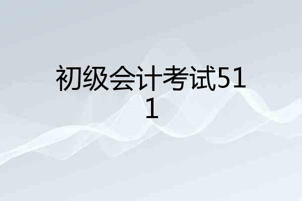 初级会计考试511