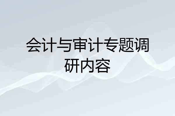 会计与审计专题调研内容