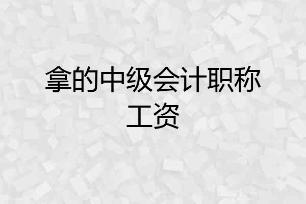 拿的中级会计职称工资