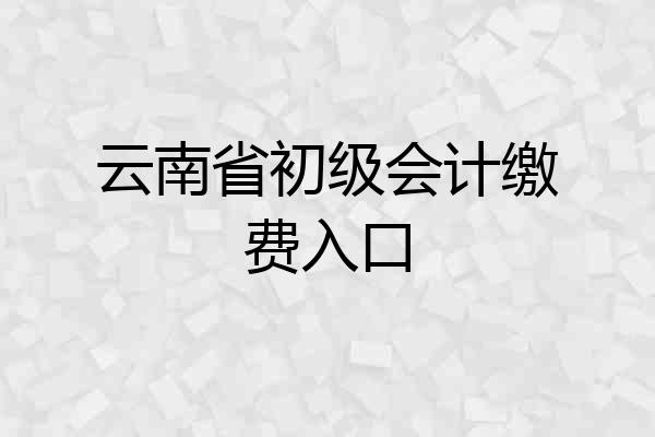云南省初级会计缴费入口