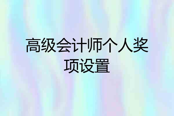 高级会计师个人奖项设置