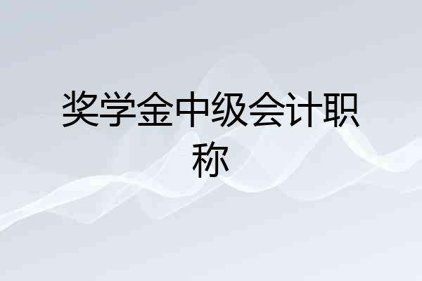 奖学金中级会计职称