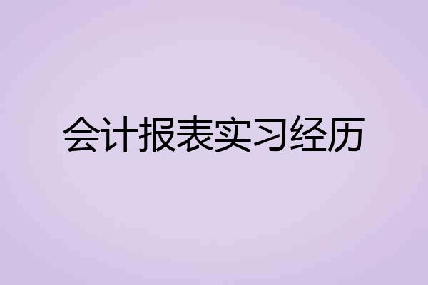会计报表实习经历