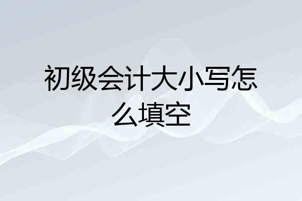 初级会计大小写怎么填空