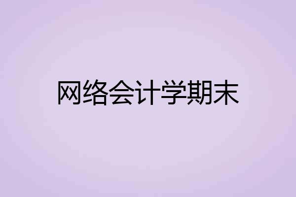 网络会计学期末