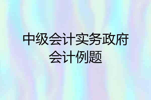 中级会计实务政府会计例题