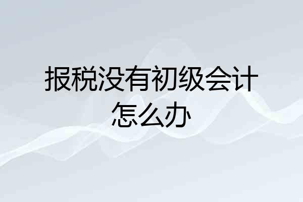 报税没有初级会计怎么办