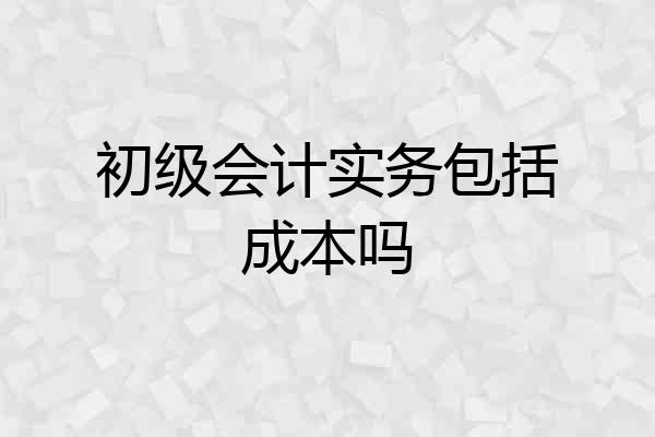 初级会计实务包括成本吗