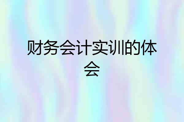 财务会计实训的体会