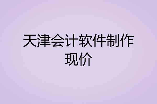 天津会计软件制作现价