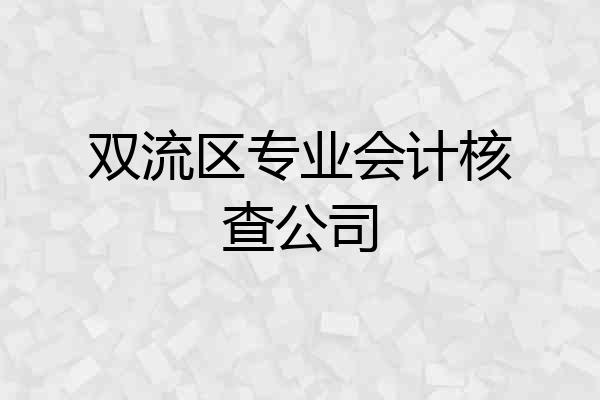 双流区专业会计核查公司