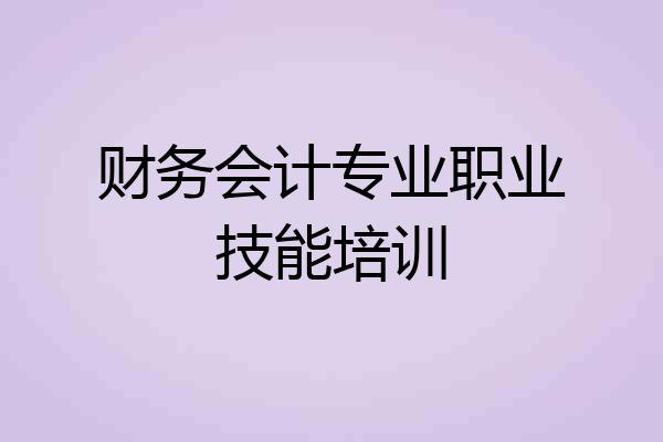财务会计专业职业技能培训