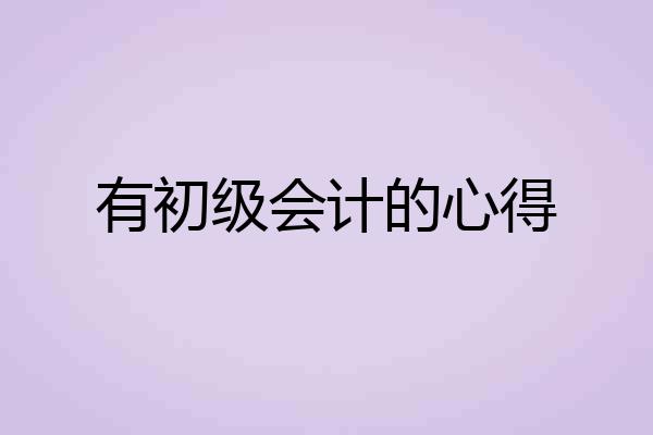 有初级会计的心得