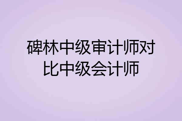 碑林中级审计师对比中级会计师