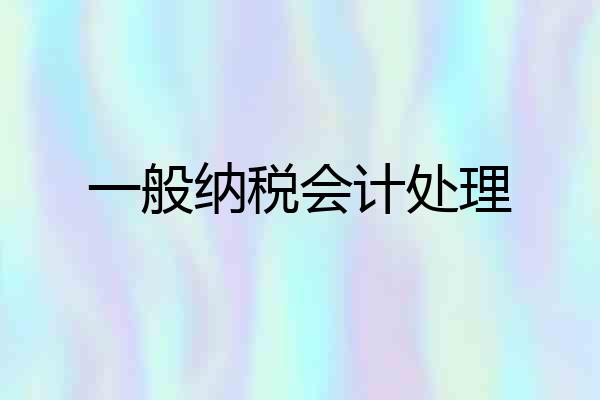 一般纳税会计处理
