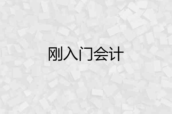 刚入门会计