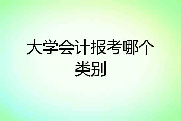大学会计报考哪个类别